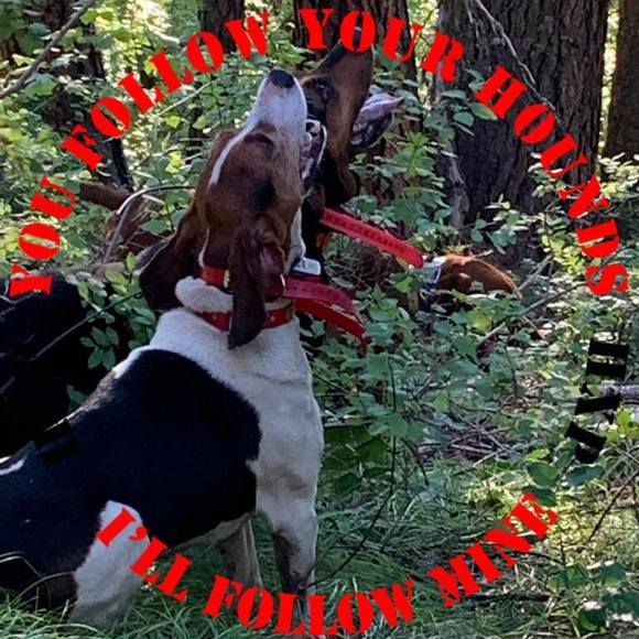 Meet your Posher, Adam - Picture 1 of 1